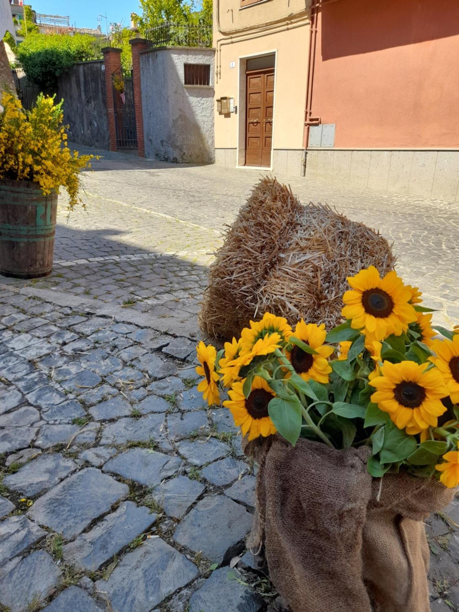 Mansarda Sul Lago A Marta Exteriér fotografie